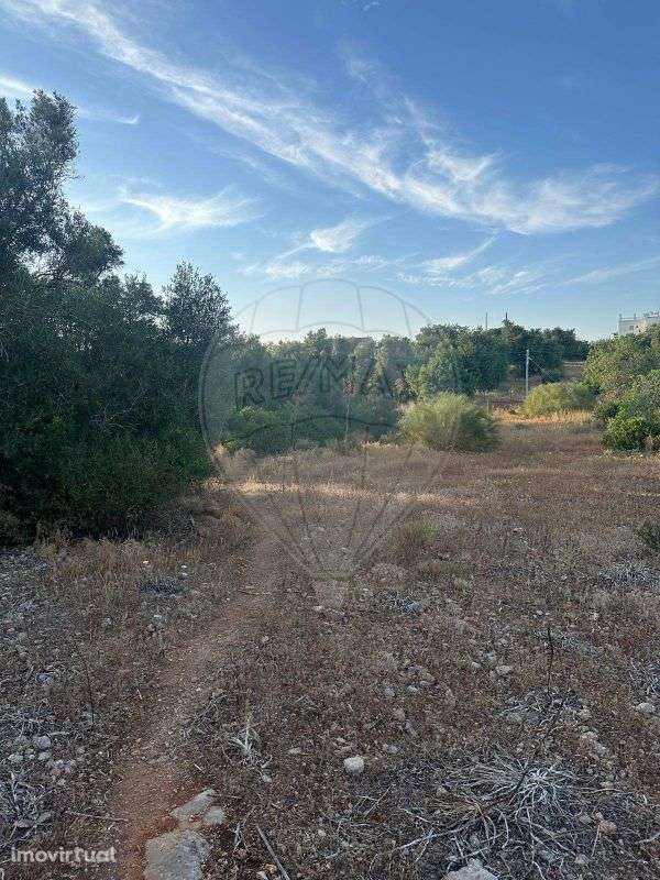 Terreno  para venda - Grande imagem: 3/15