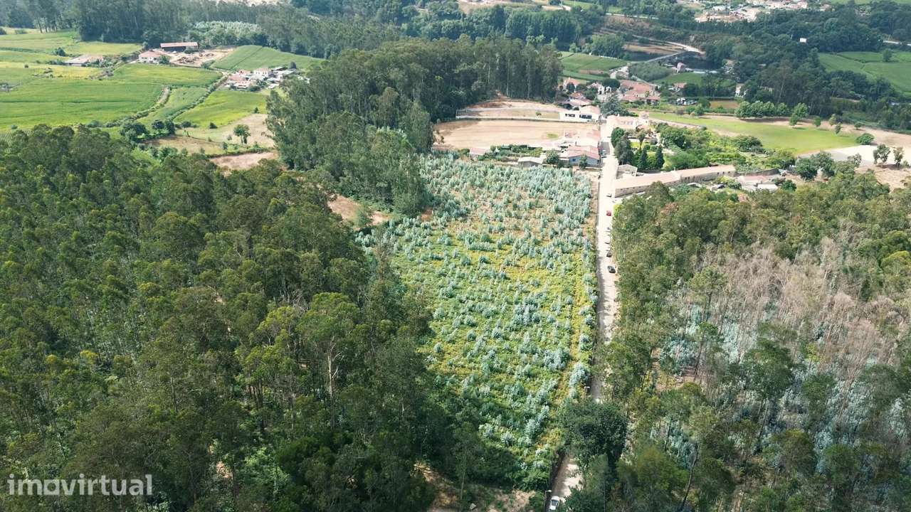 Terreno Urbanizável em Vila do Conde | Uma Oportunidade Única para Inv - Grande imagem: 5/5