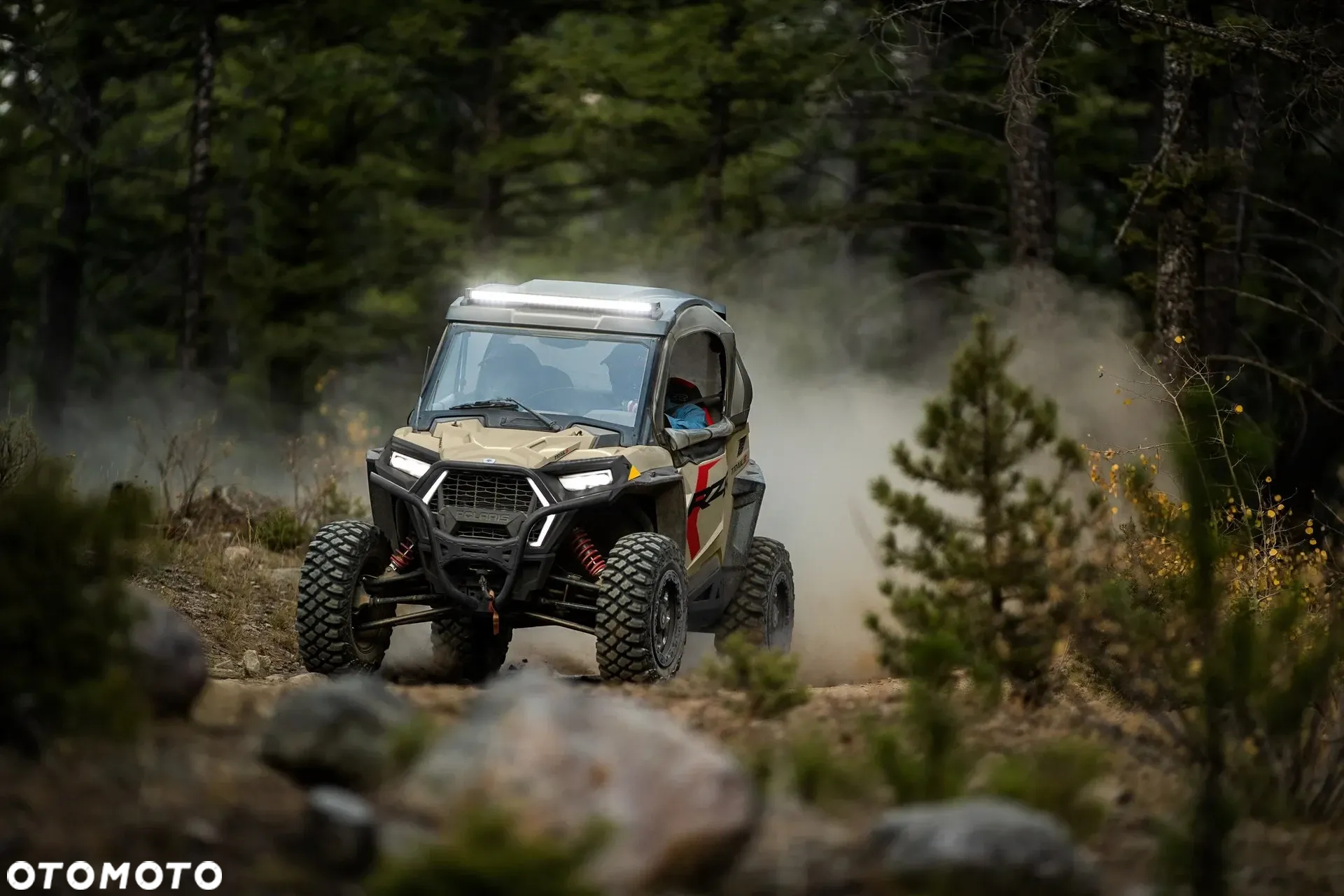 Polaris RZR - 13