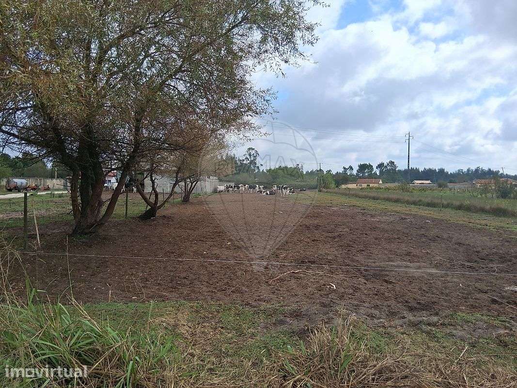 Terreno  para venda - Grande imagem: 3/7