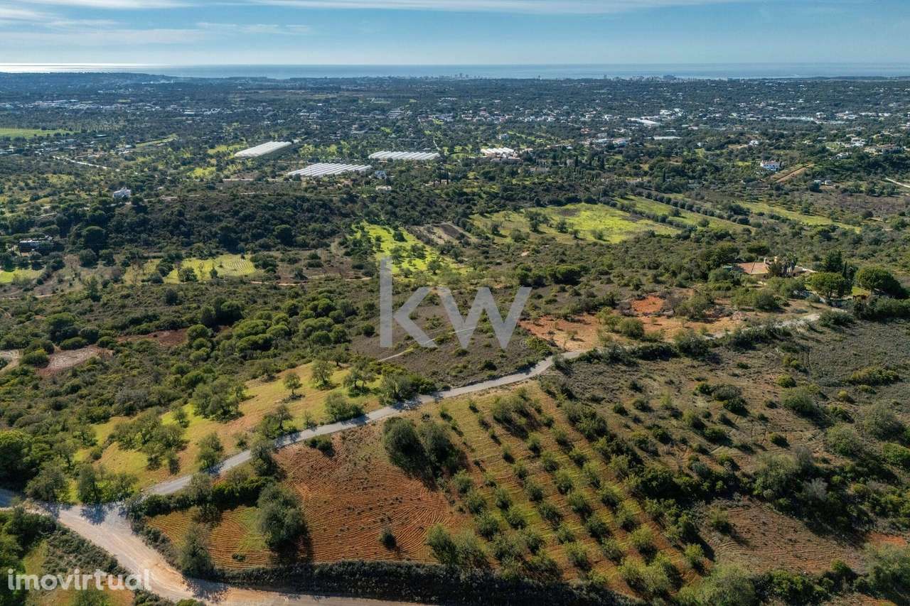 Terreno rustico de 3000m2, com vista para o mar e serra nos Caliços - - Grande imagem: 3/17