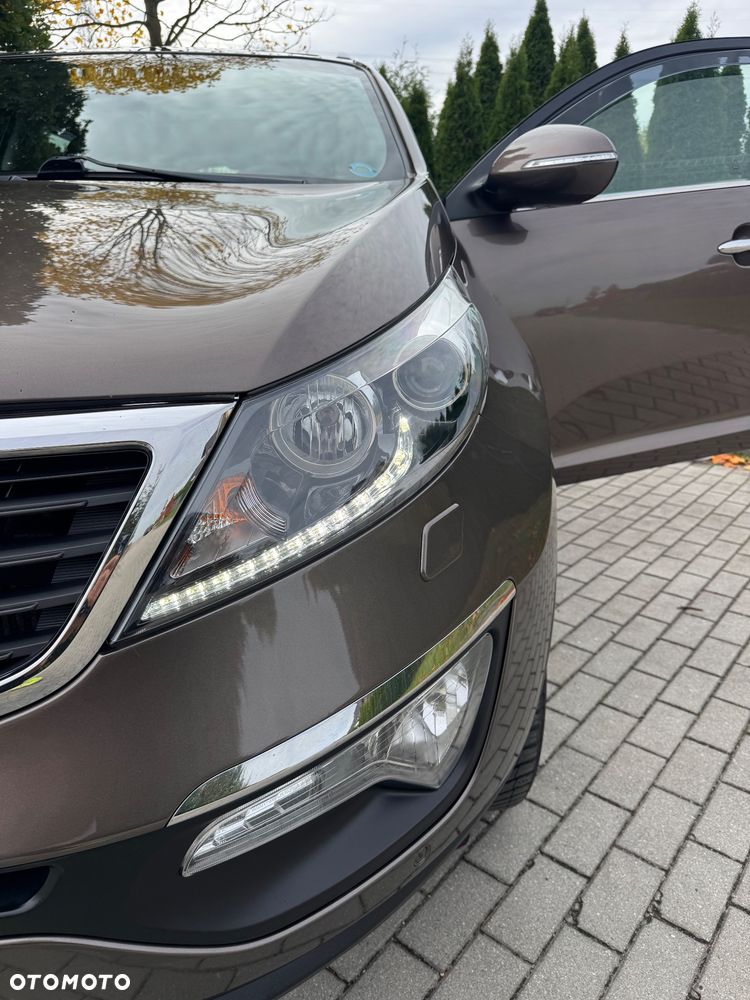 Kia Sportage - 28