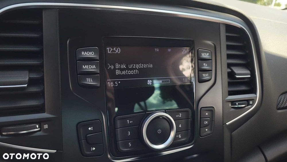 Renault Megane - 27