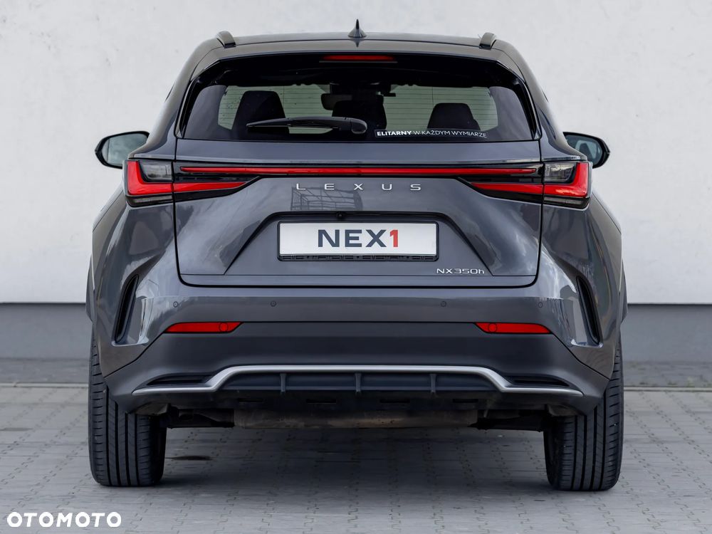 Lexus NX - 10