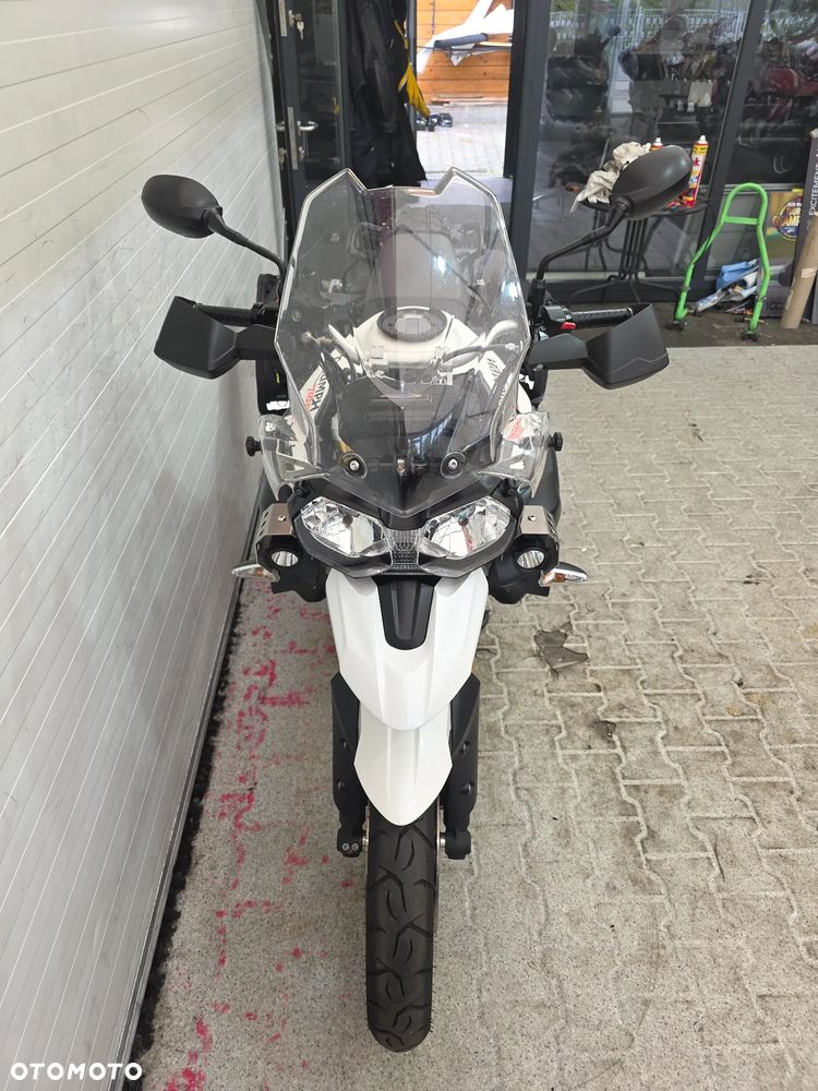 Triumph Tiger - 18