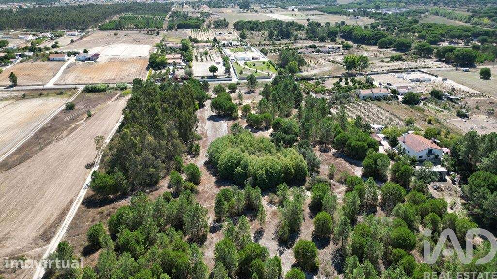 Terreno para construção em Benavente de 16390,00 m2 - Grande imagem: 3/25