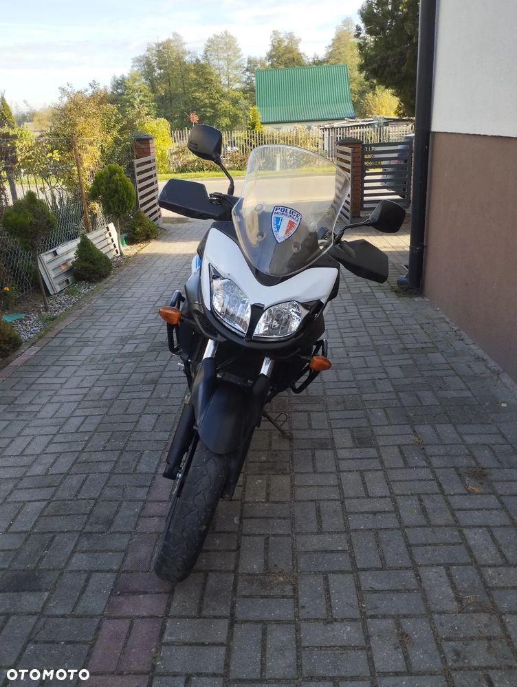 Suzuki DL