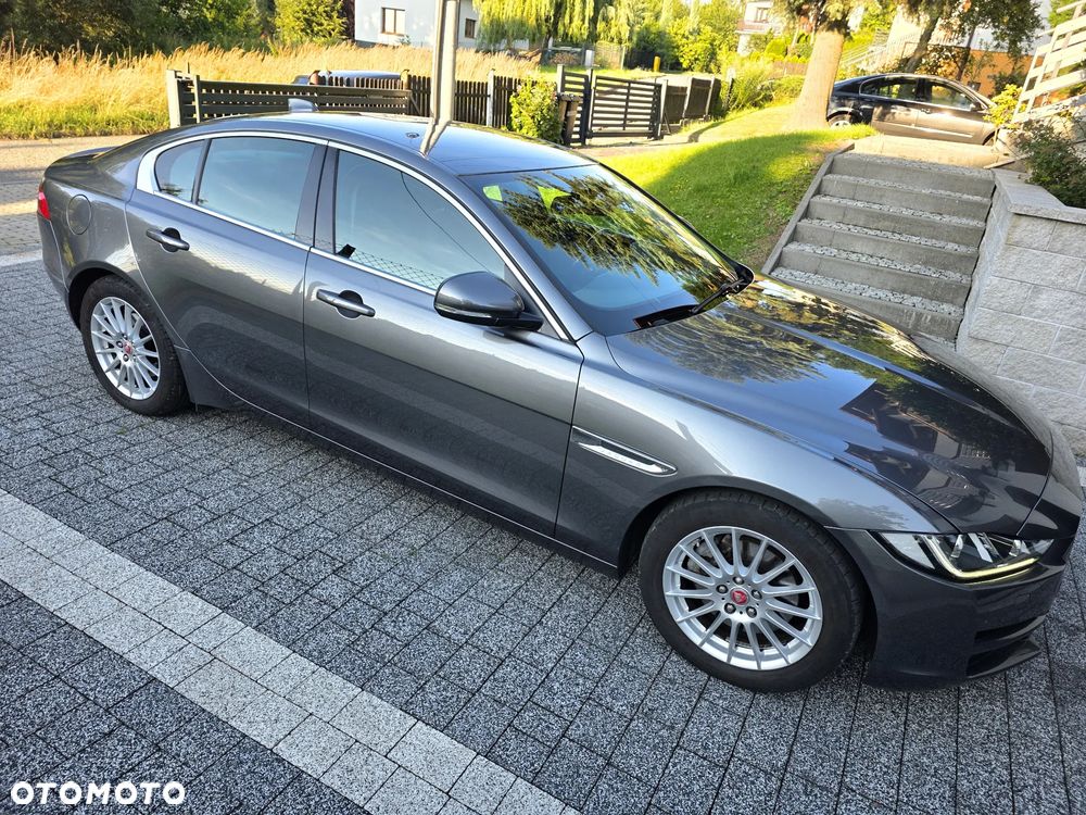 Jaguar XE E-Performance Pure - 2