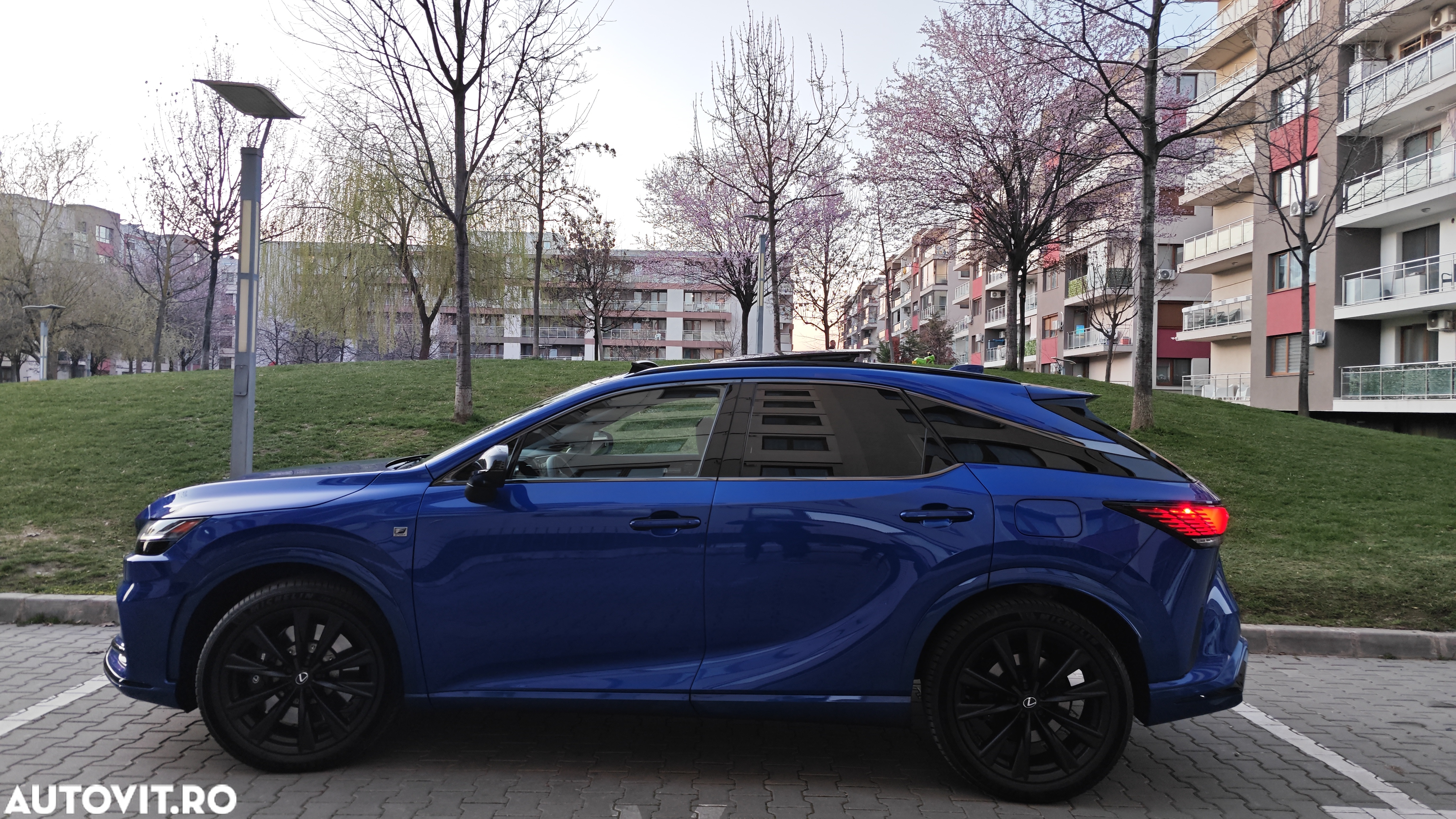 Lexus Seria RX - 13