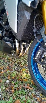 Suzuki GSX-R - 5