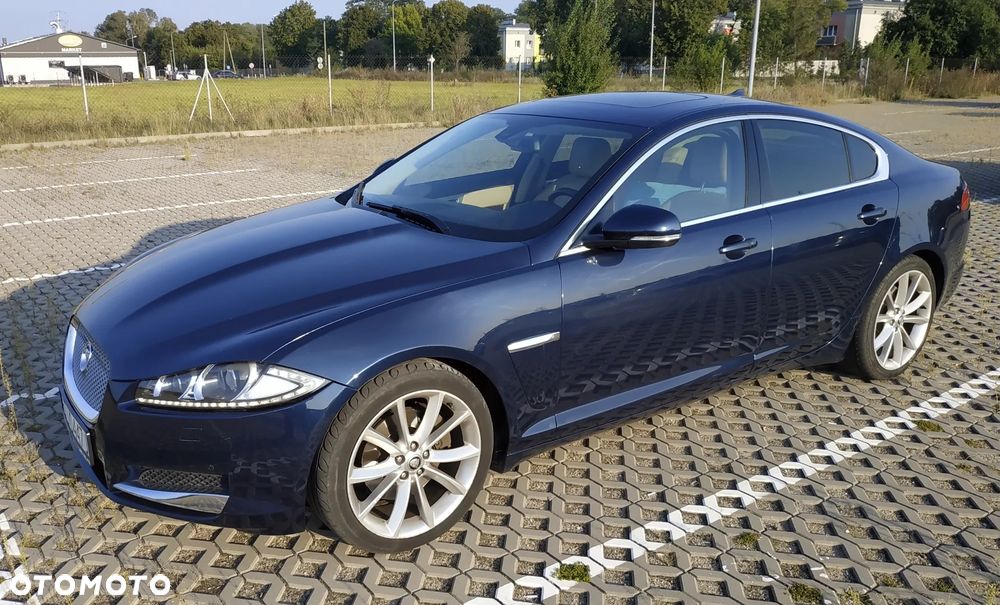Jaguar XF 3.0 V6 D Luxury - 5