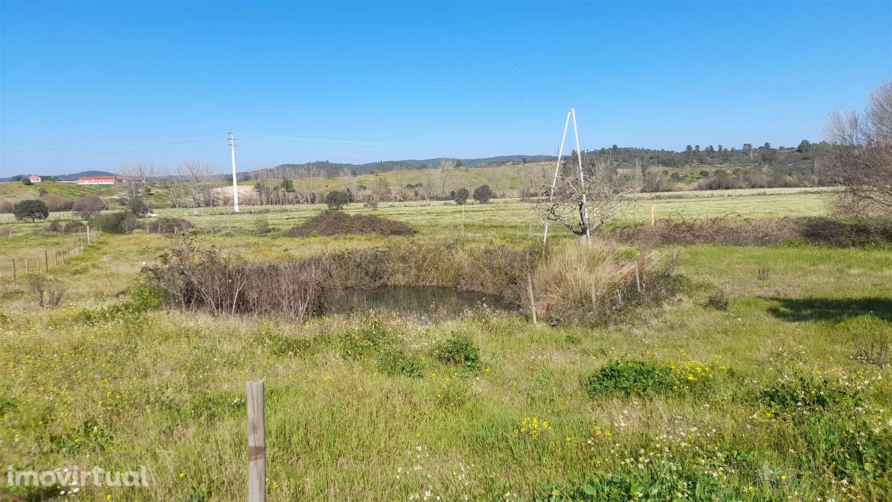 Quinta T0 Venda em Vila Velha de Ródão,Vila Velha de Ródão - Grande imagem: 4/28