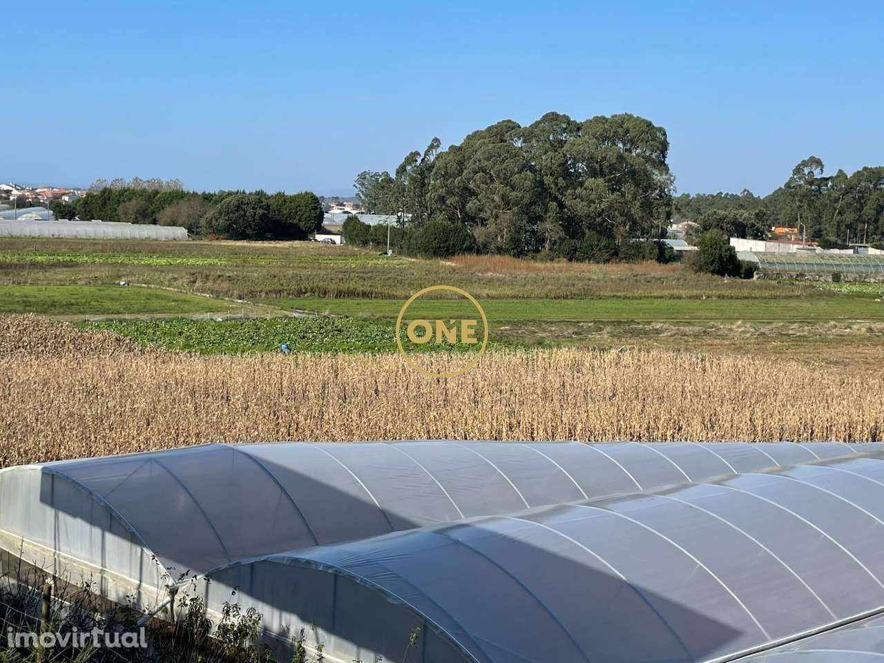 Venda Terreno - Grande imagem: 2/6