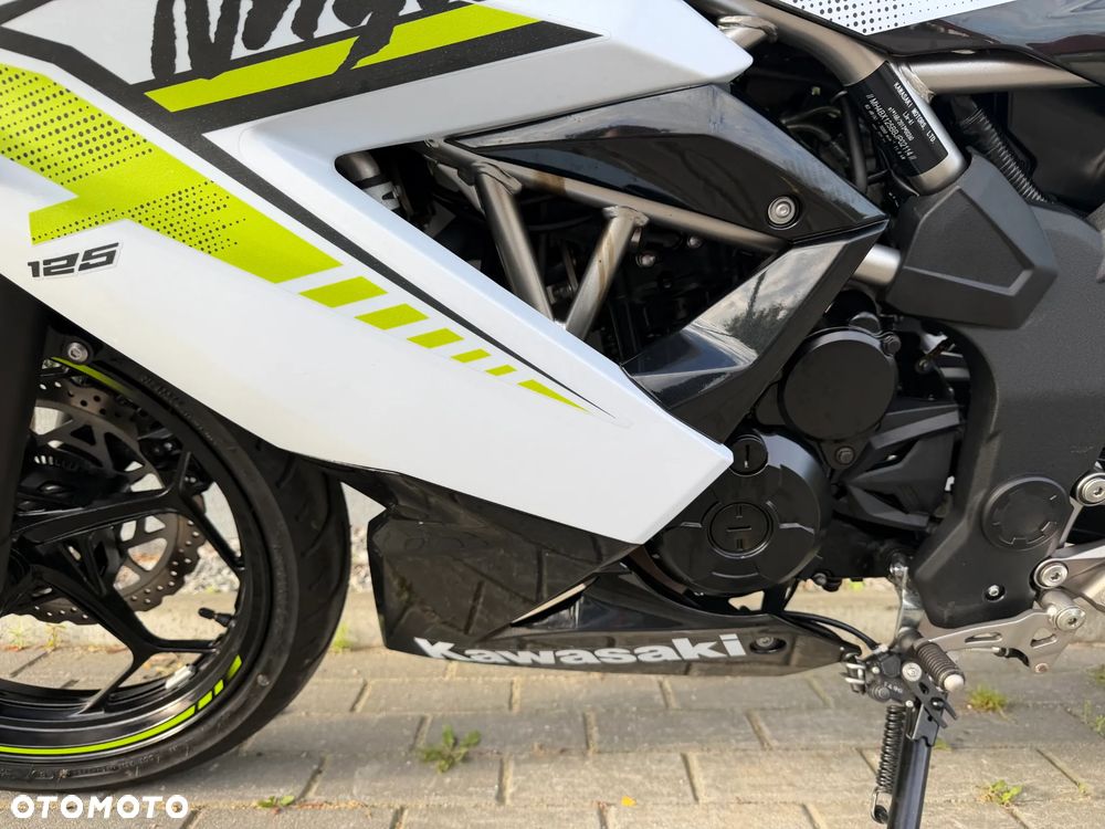 Kawasaki Ninja - 35