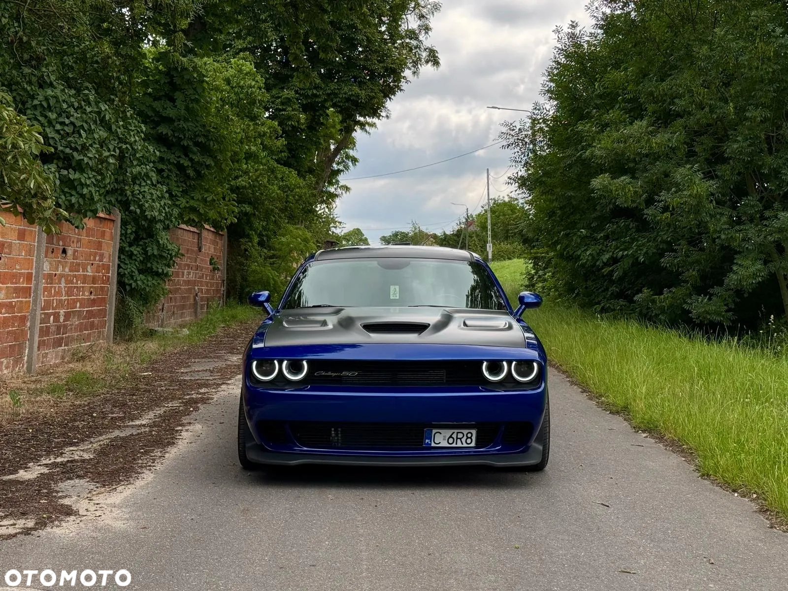 Dodge Challenger Automatik R/T Plus - 30