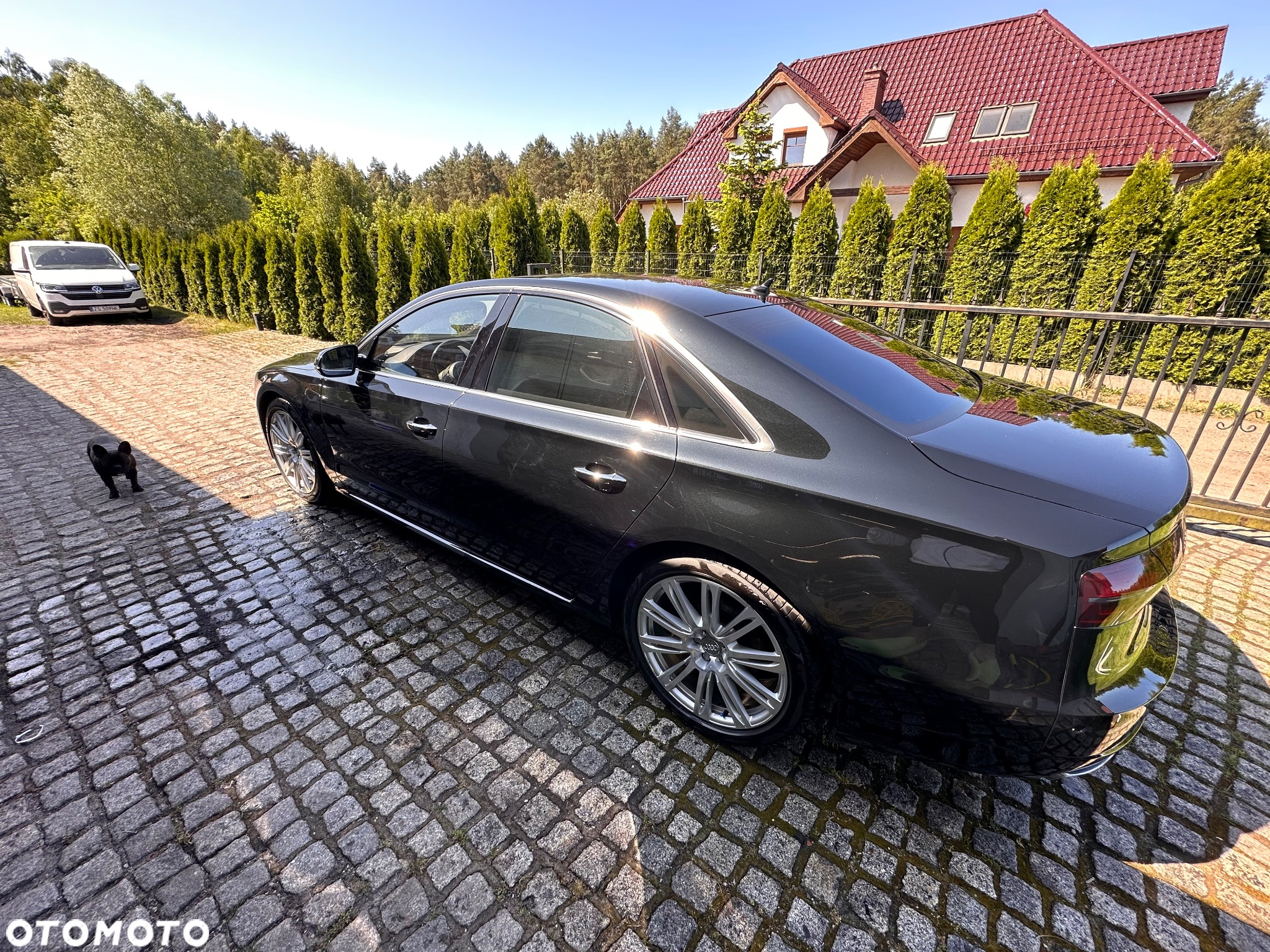 Audi A8 3.0 TDI ultra DPF quattro tiptronic - 23