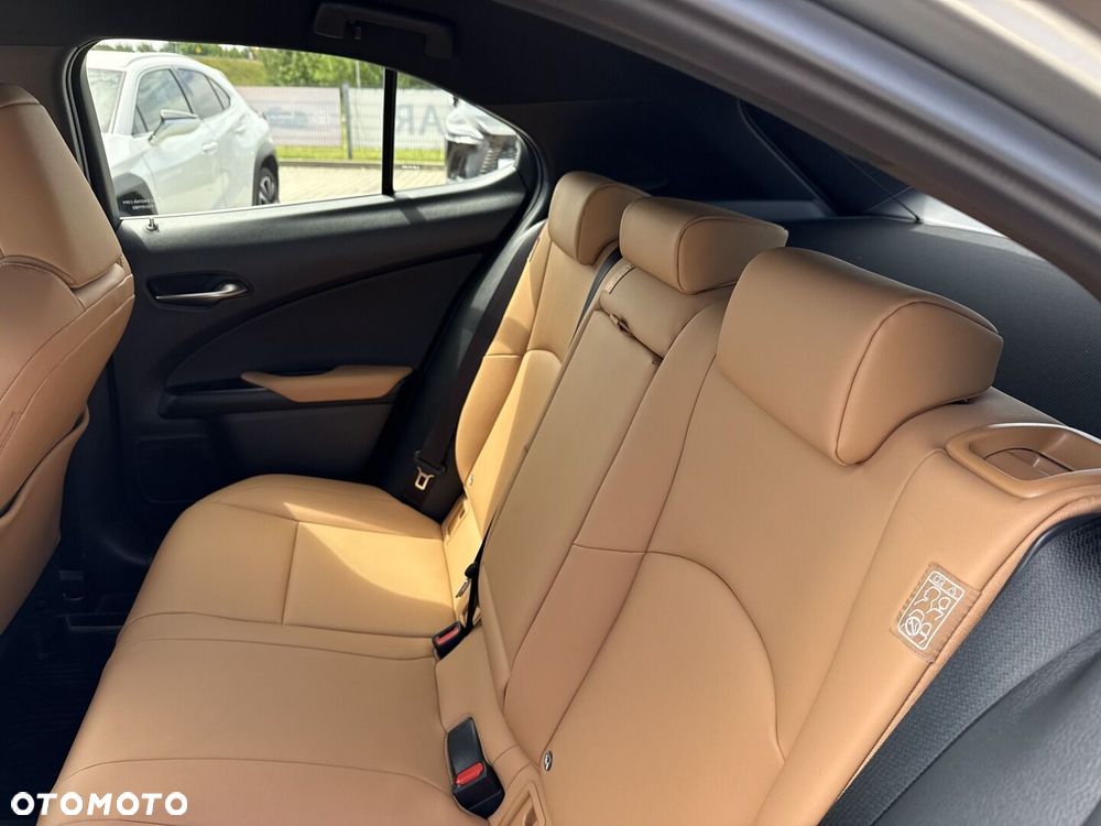 Lexus UX 250h GPF F Sport Design 2WD - 22