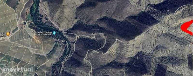 Terreno 15000m2 (1,5h) - Grande imagem: 3/12