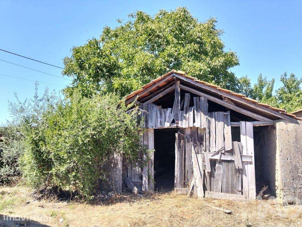 Casa de Campo T2 em Brogueira, Parceiros de Igreja e Alcorochel - Grande imagem: 5/40