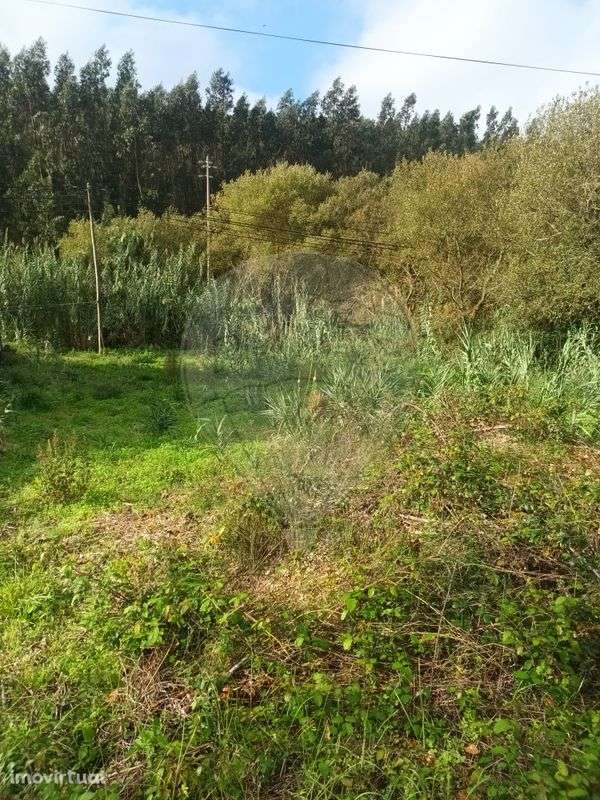 Terreno  para venda - Grande imagem: 4/6