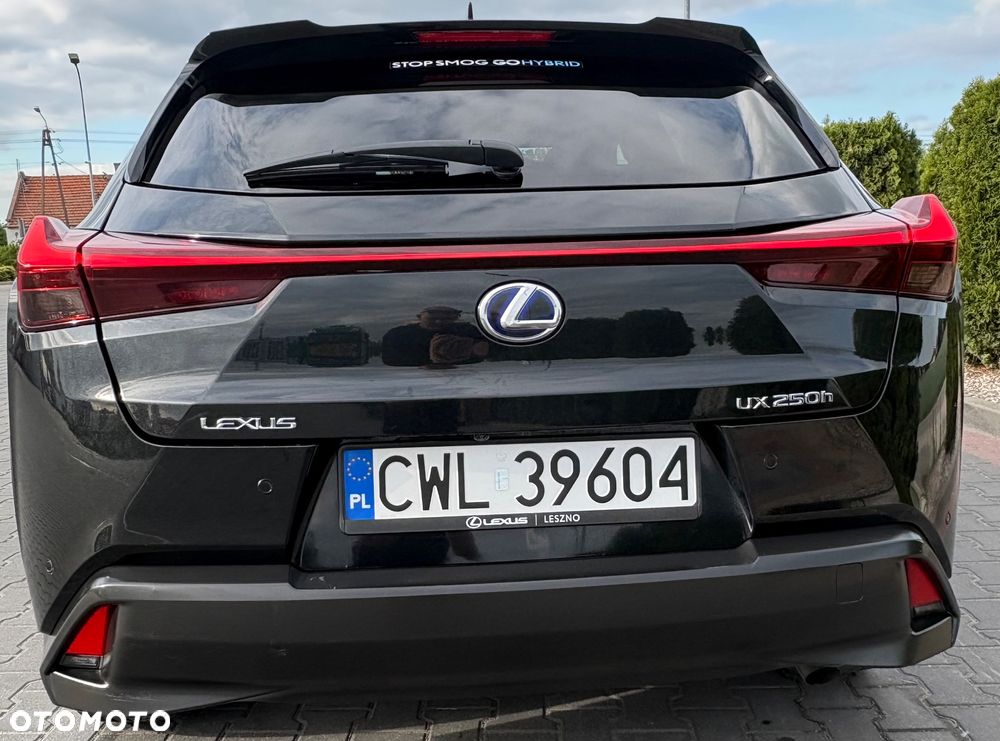 Lexus UX 250h GPF Business Edition 2WD - 8