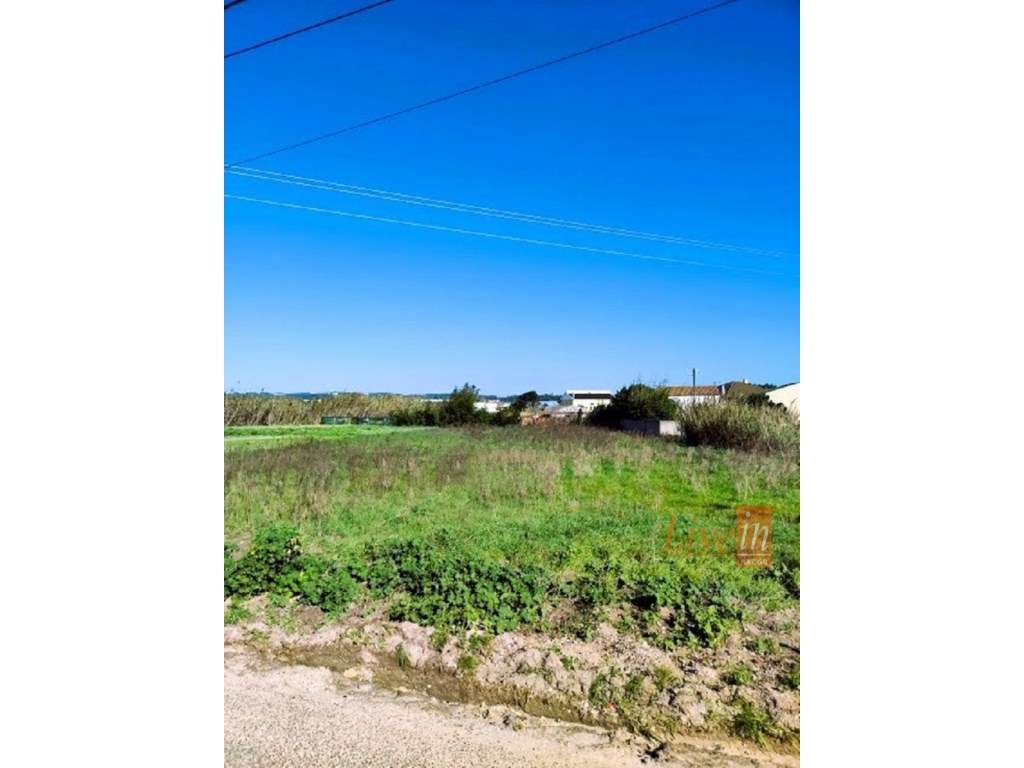 Terreno com 1720m2 na Silveira - Grande imagem: 3/10