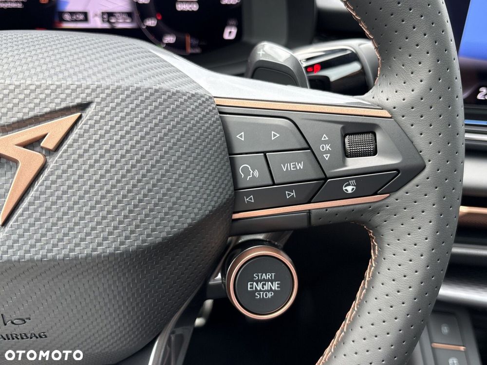 Cupra Terramar 2.0 TSI 4Drive VZ DSG - 20