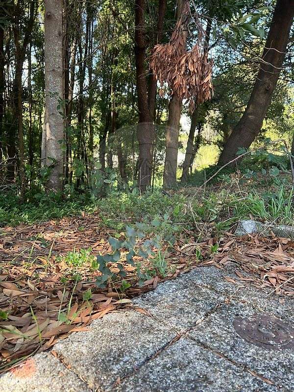 Terreno  para venda - Grande imagem: 3/7