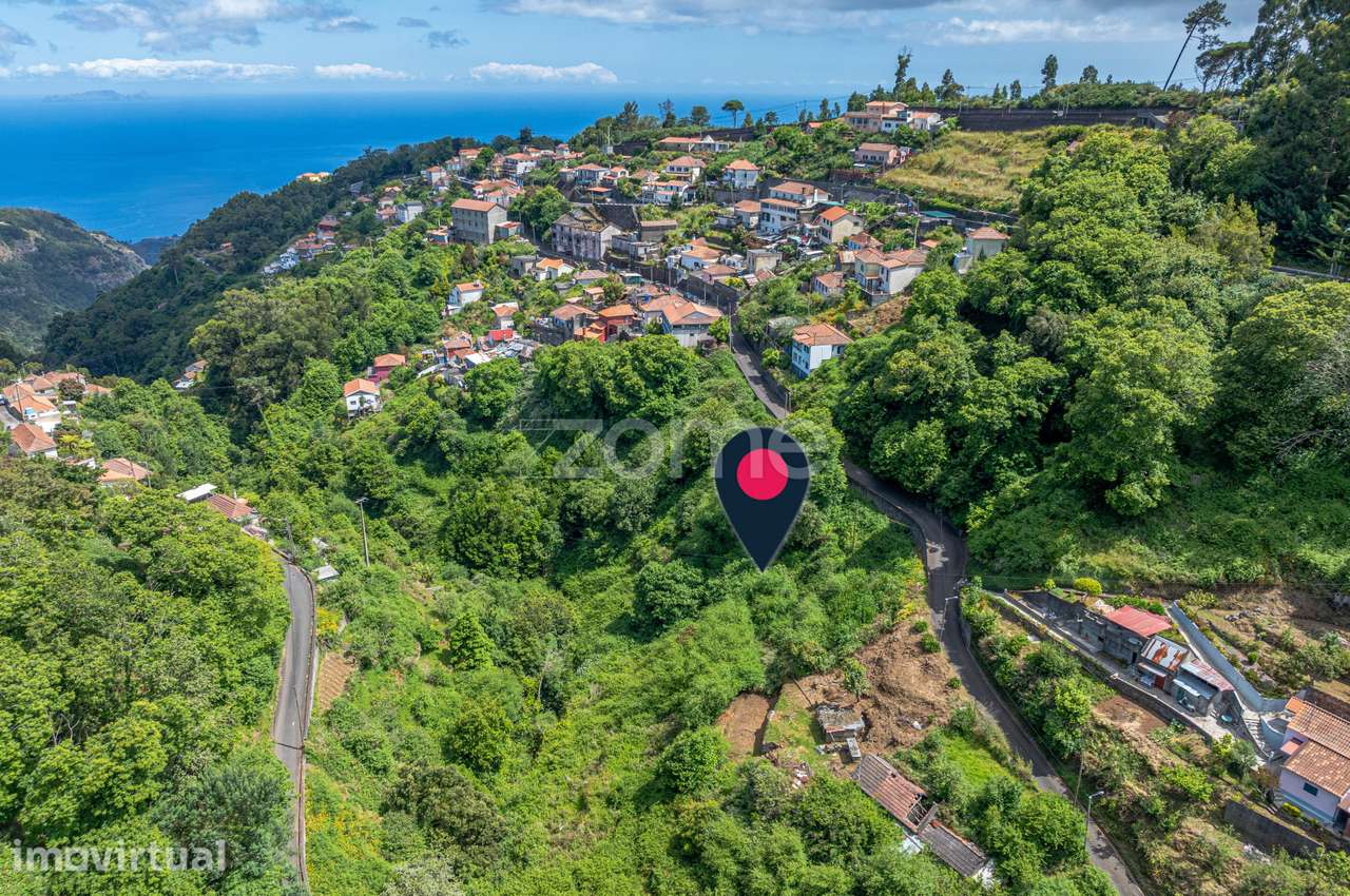 Terreno Rústico – Camacha, Ilha da Madeira - Grande imagem: 4/15