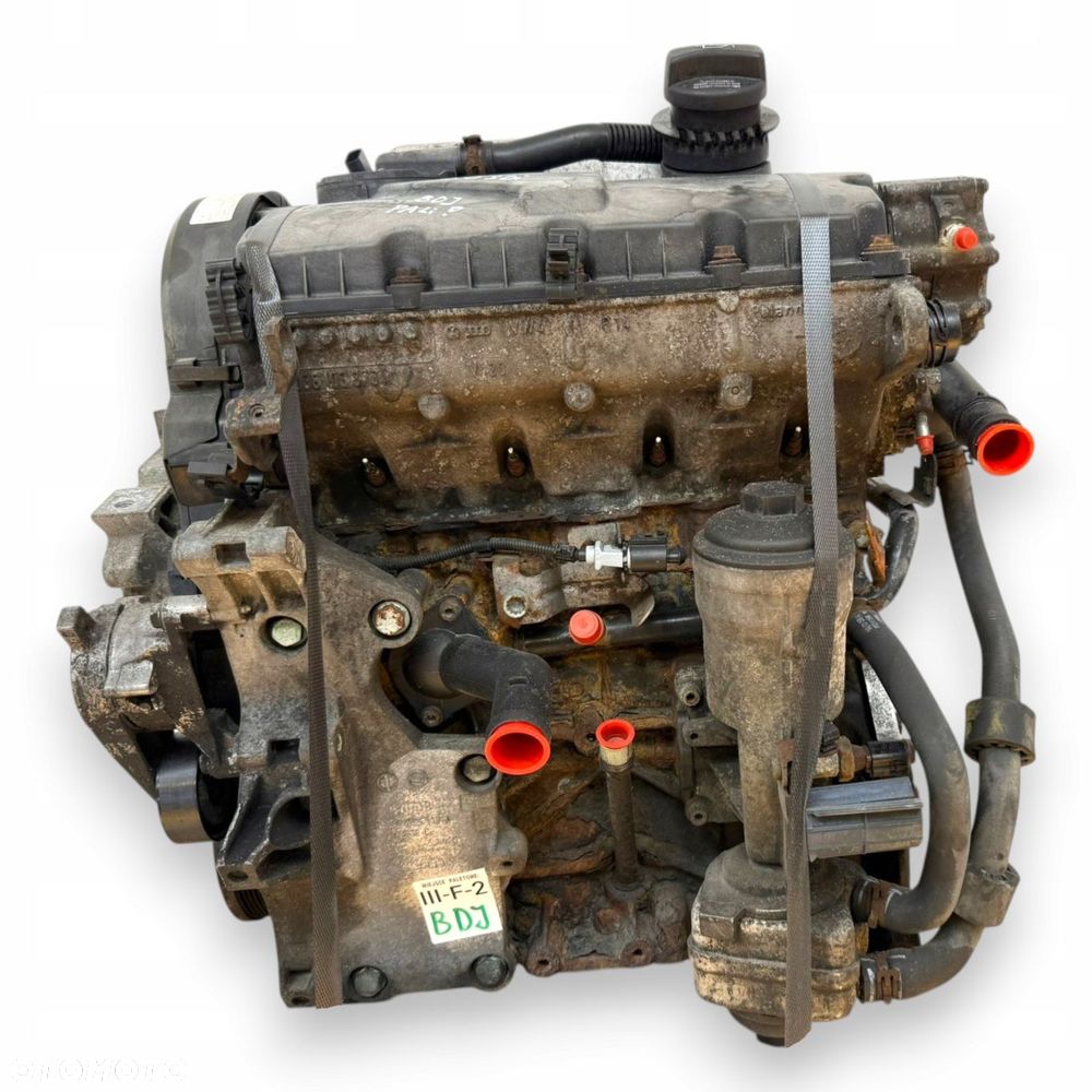 SILNIK BDJ VW Caddy III 2.0 SDI 70KM diesel sprawny kompletny 174 223km - 4