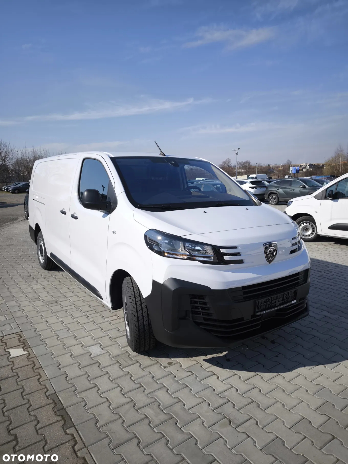 Peugeot Expert Furgon Long - 19