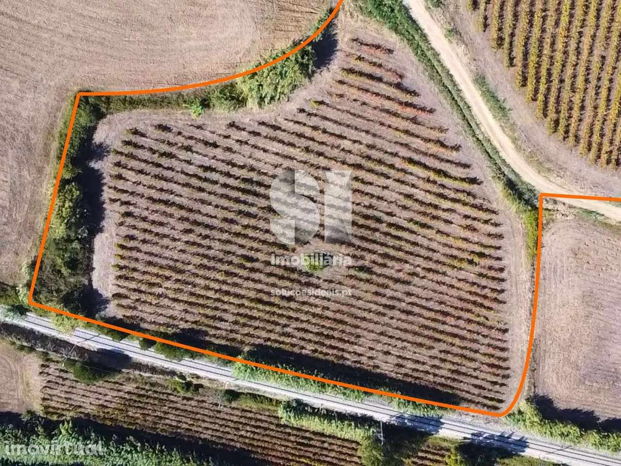 Terreno em Torres vedras - Grande imagem: 5/22