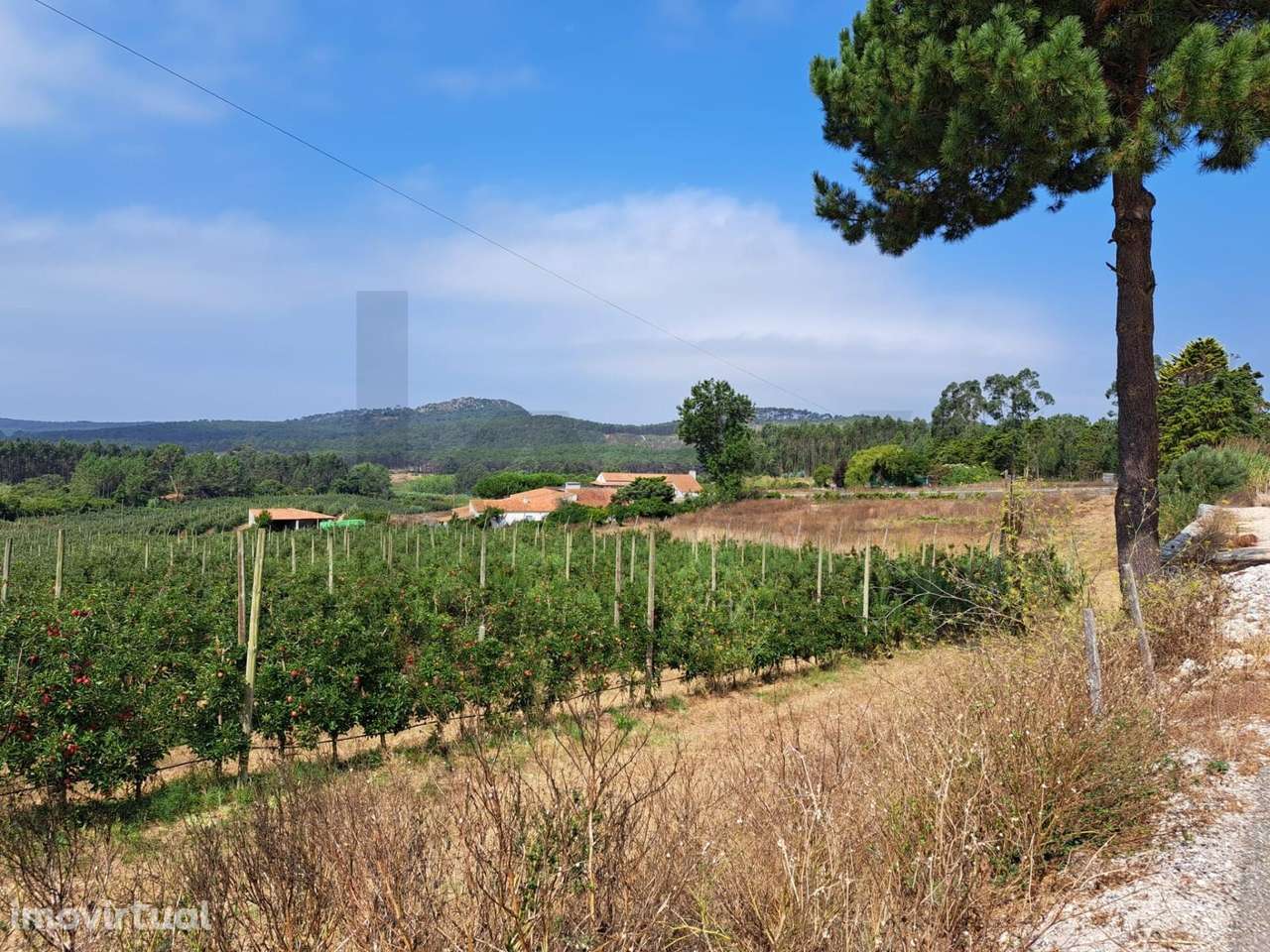 Terreno com 515 m2 e Alvará de Loteamento - Grande imagem: 2/7