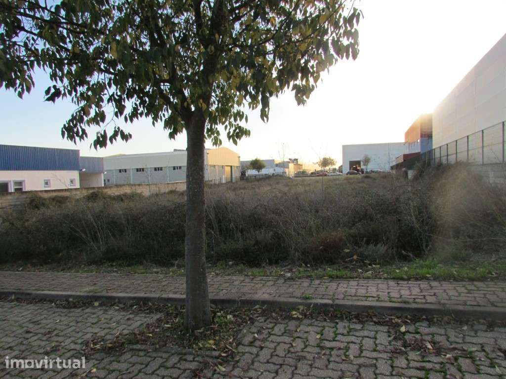 Lote industrial - Grande imagem: 4/8