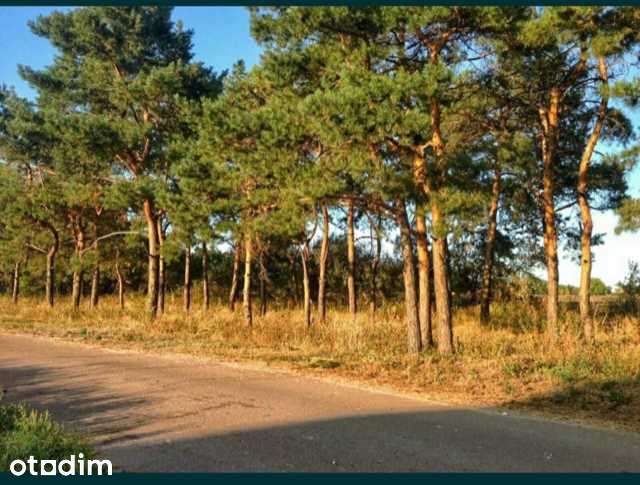 Ділянка під житлову забудову у межах міста - Повне зображення: 2/2