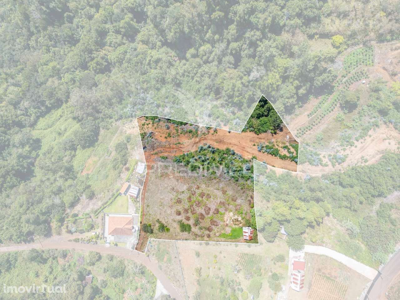 Terreno com palheiro vista mar e montanha no Santo da Serra - Grande imagem: 2/19