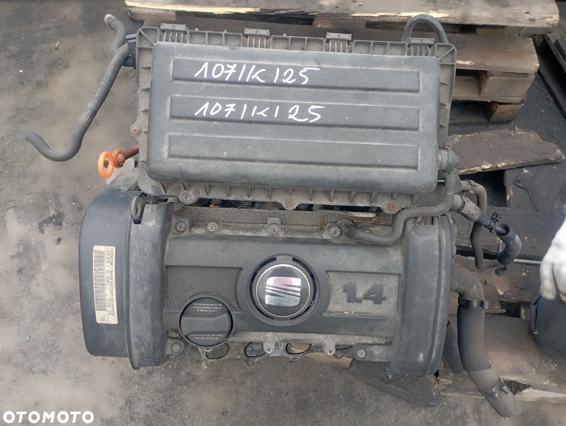SILNIK BXW

 SEAT
 IBIZA III LIFT LS7Z - 1