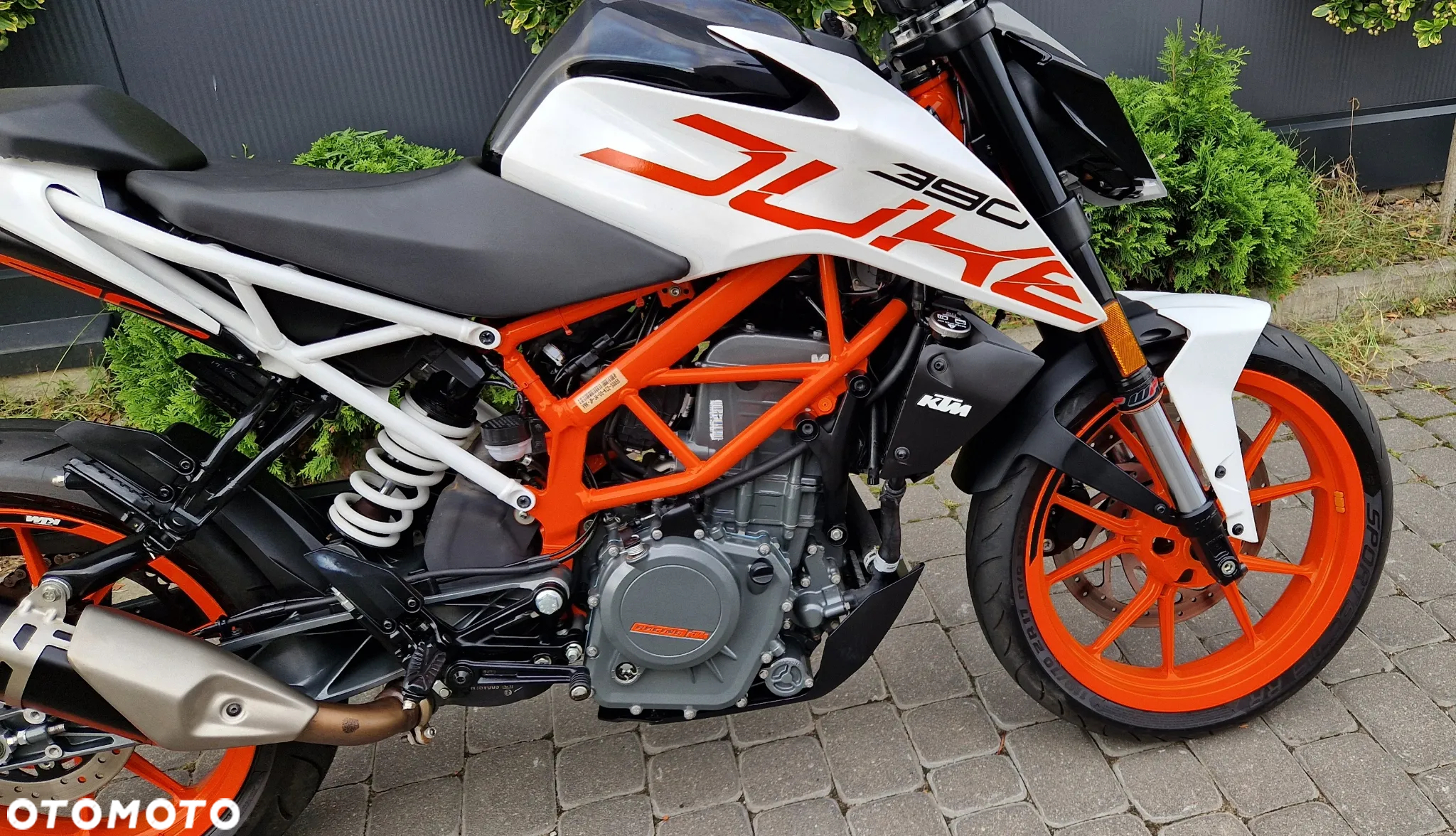 KTM Duke - 17