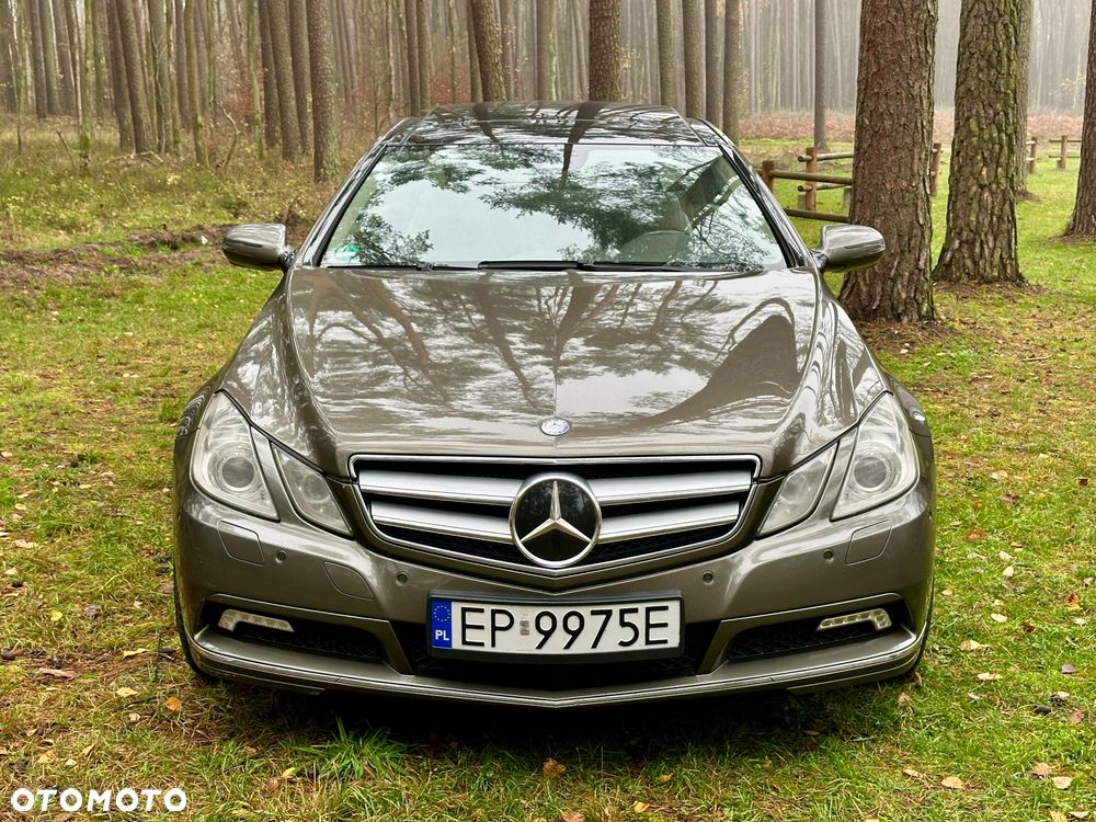 Mercedes-Benz Klasa E 500 7G-TRONIC Avantgarde - 10