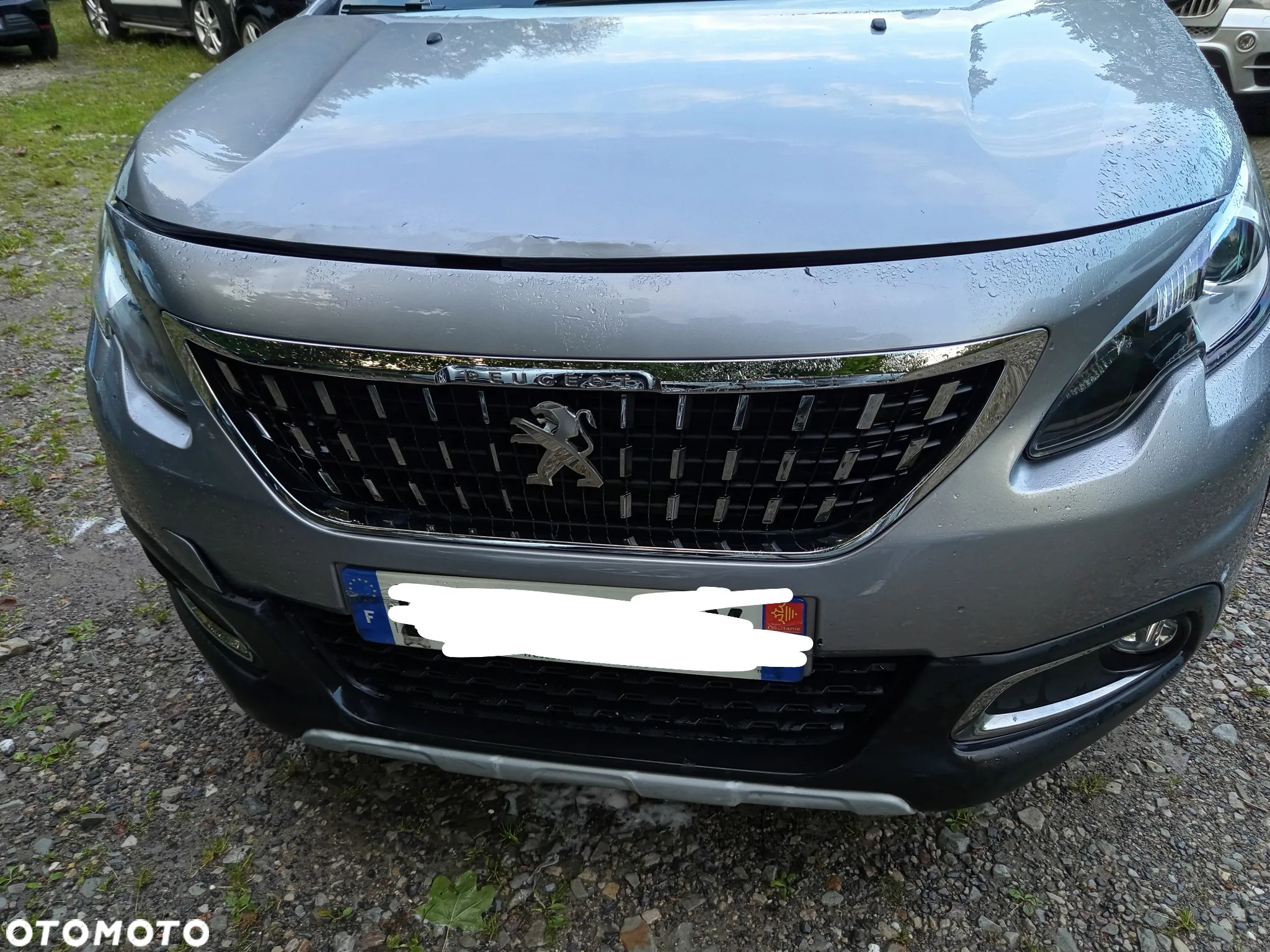 Peugeot 2008 - 5