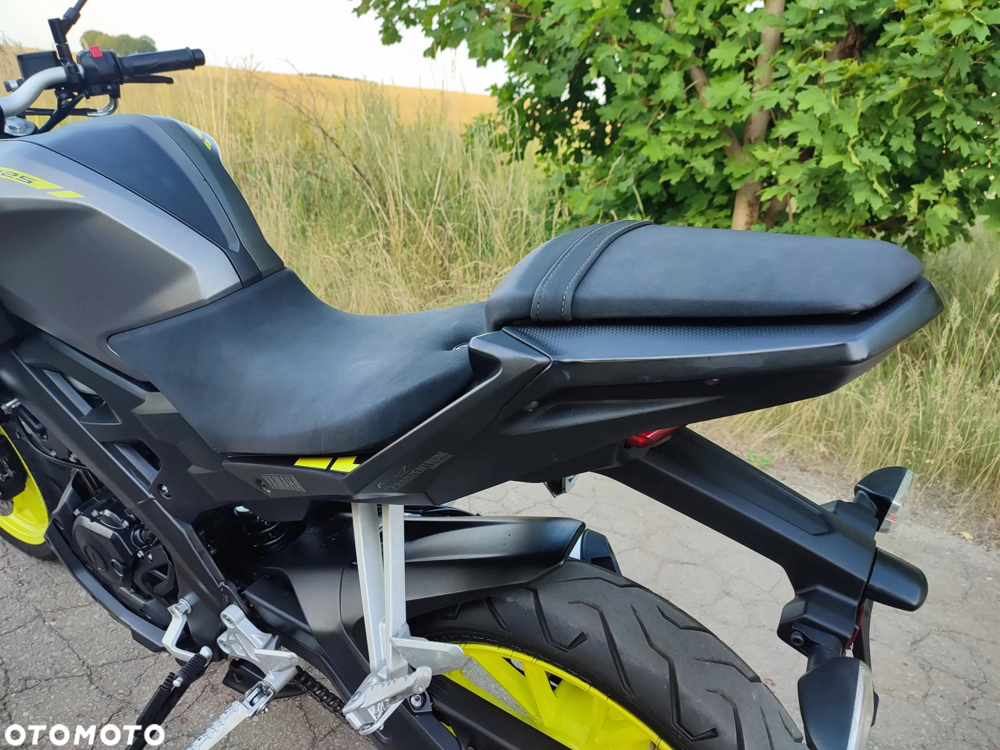 Yamaha MT - 12