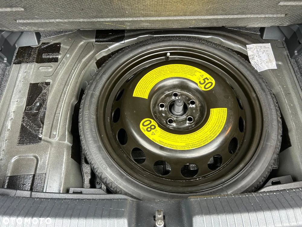 Volkswagen Polo 2.0 TSI GTI DSG - 20