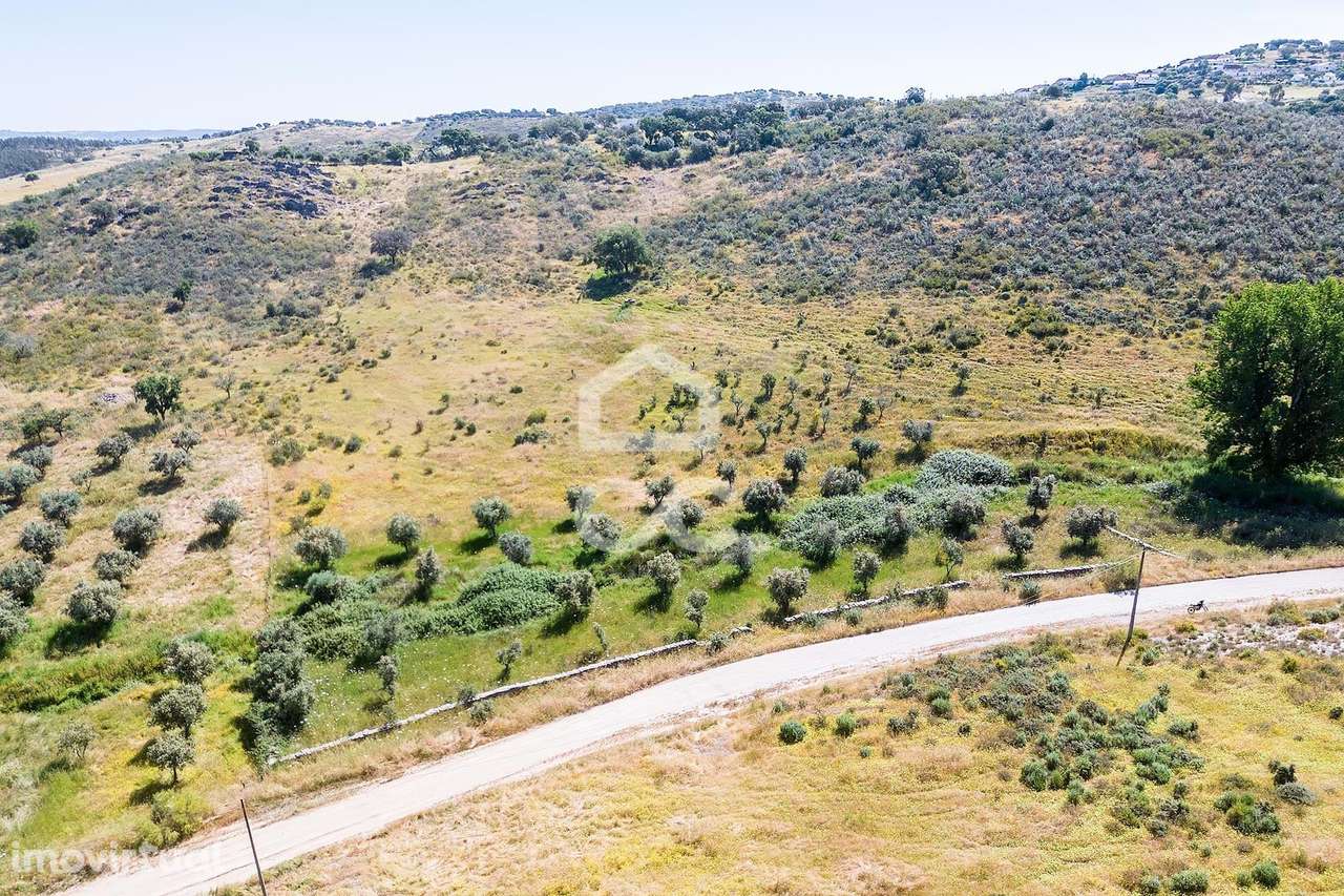 Terreno c/ 3,175 ha | Hortinhas, Alandroal - Grande imagem: 3/40