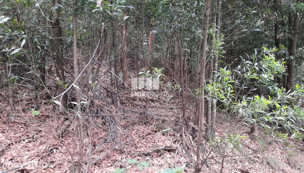 Venda Terreno, Vila Cova, Penafiel - Grande imagem: 3/10