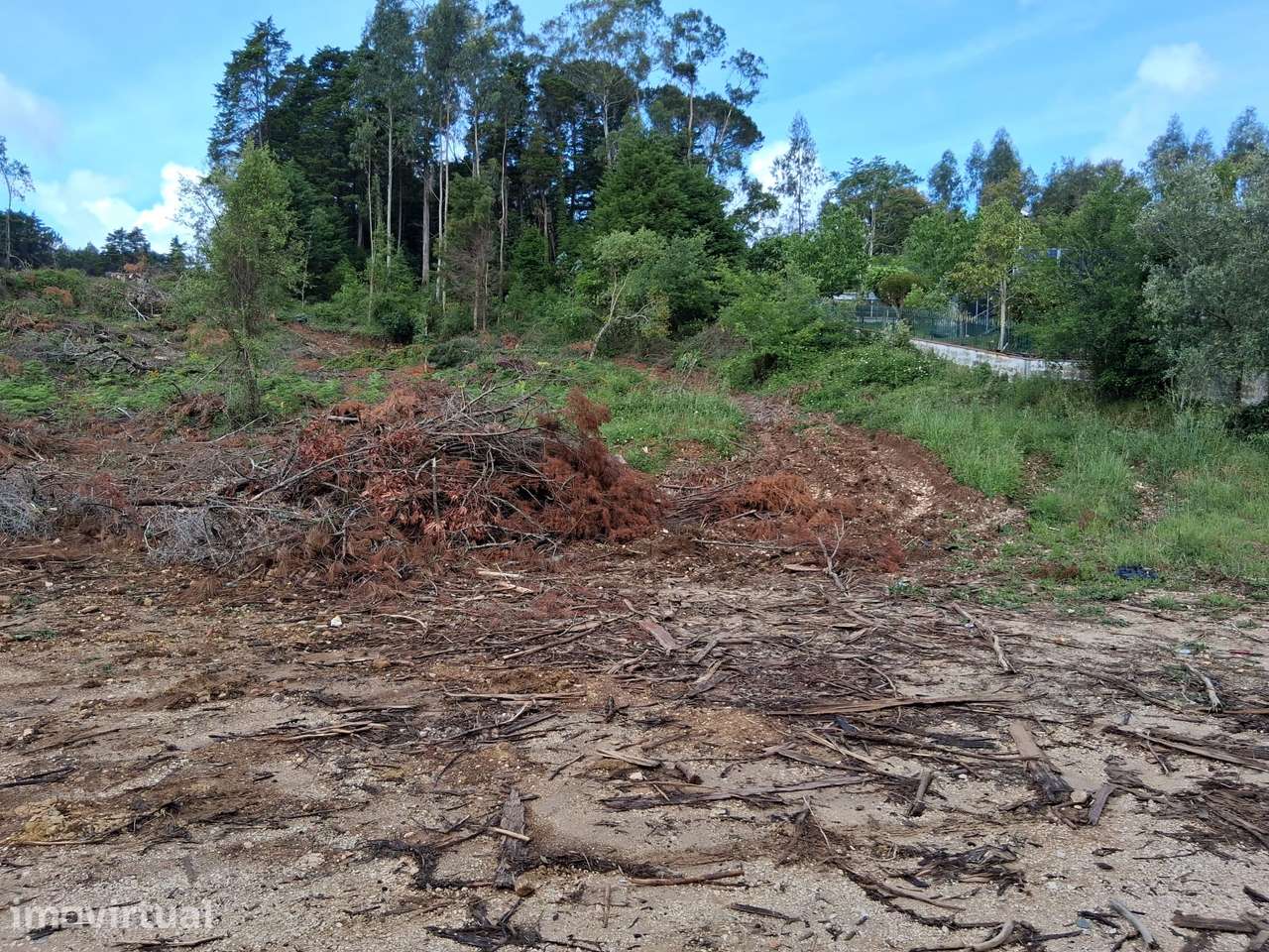 Terreno com 12.300 m² em zona tranquila a minutos de Coimbra - Grande imagem: 2/14