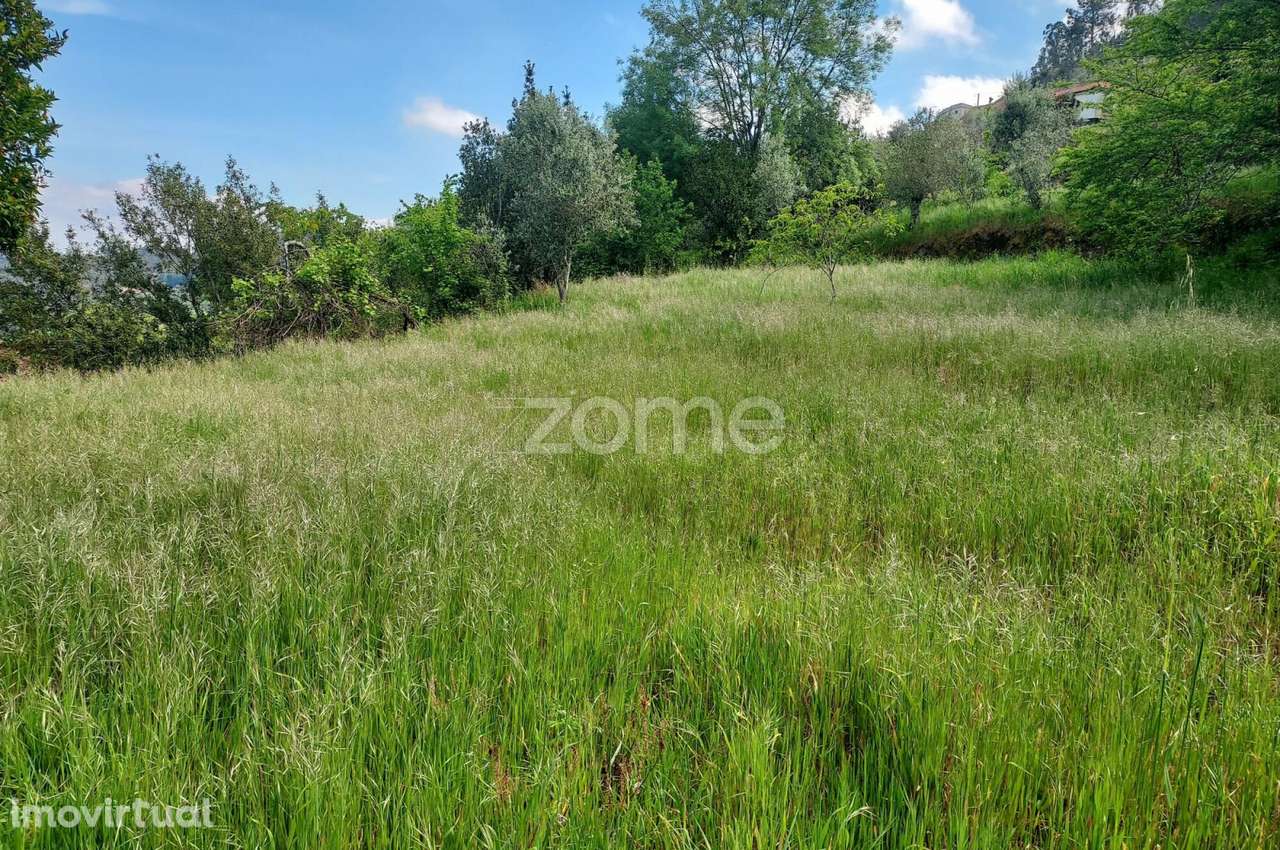 Terreno urbano com ruína - Grande imagem: 4/15