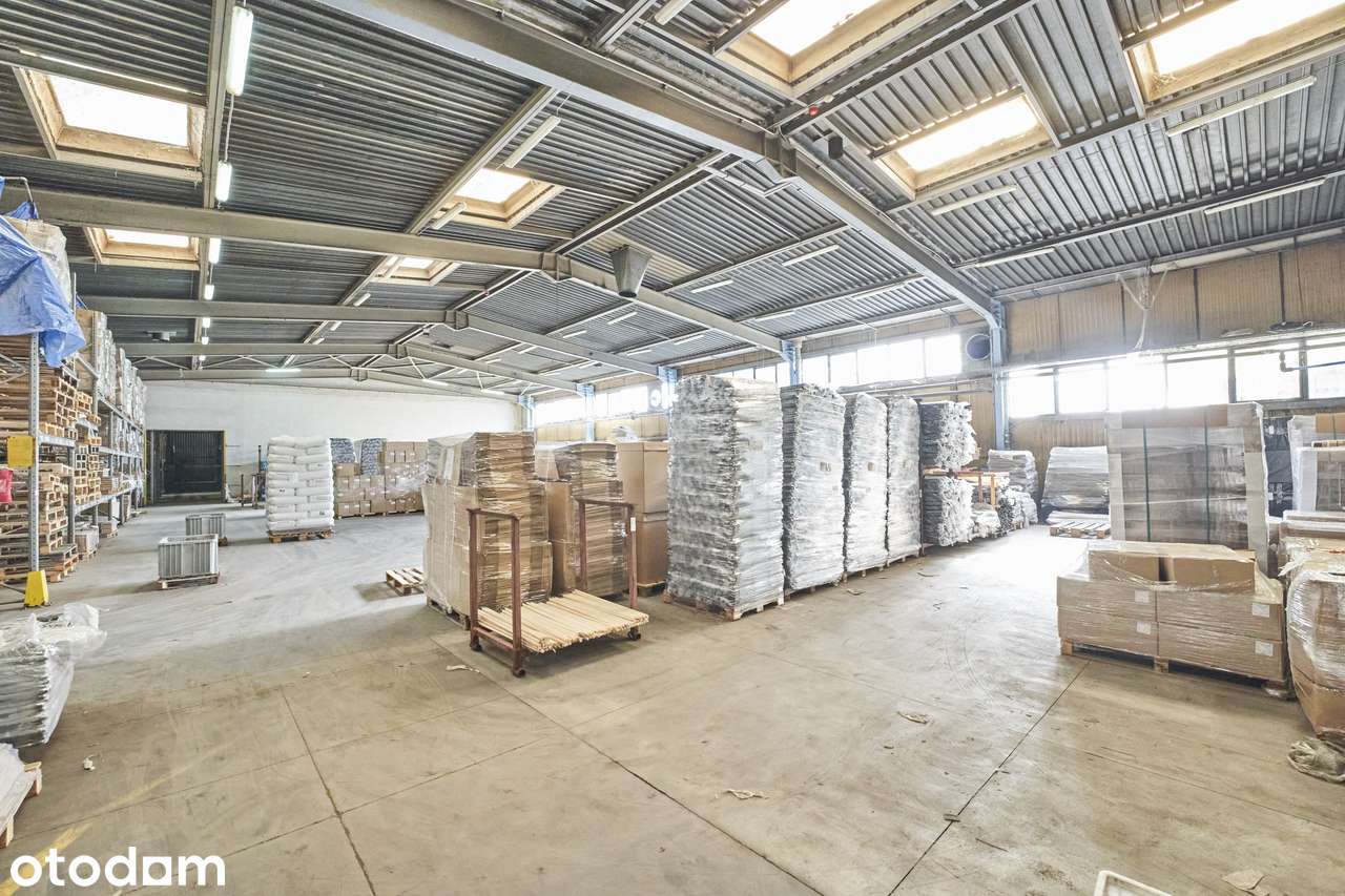 Hala produkcyjna 3900 m2, grunt 1h, Teofilów Przem - Pełny obrazek: 3/4