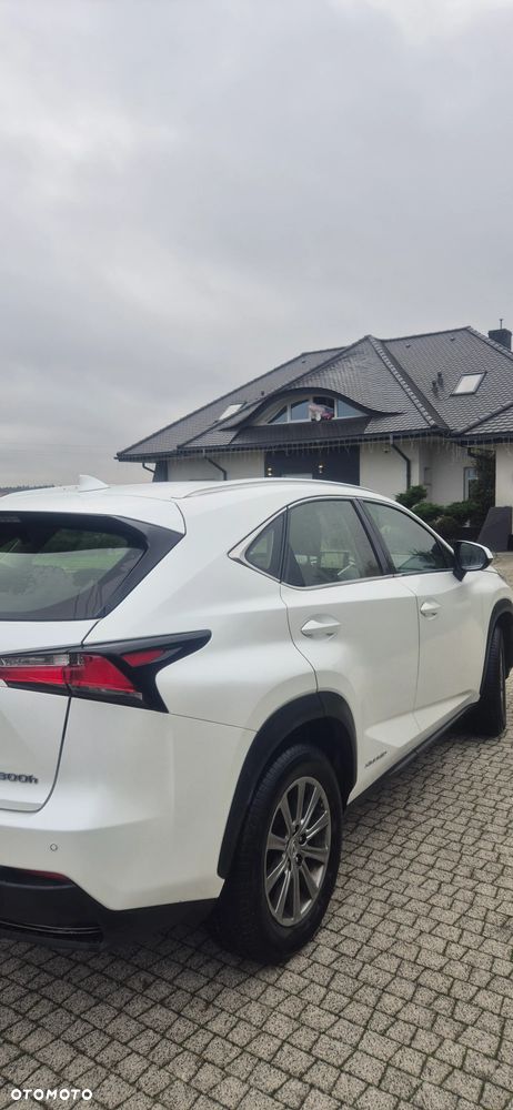 Lexus NX 300h Elite AWD - 7