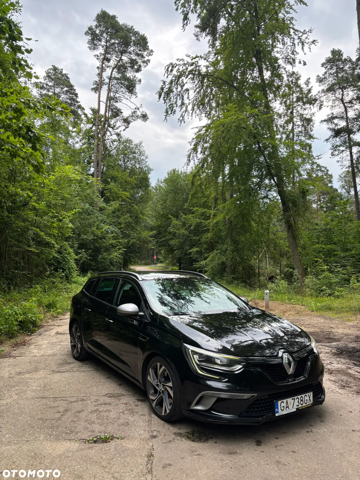 Renault Megane ENERGY dCi 165 EDC GT - 10