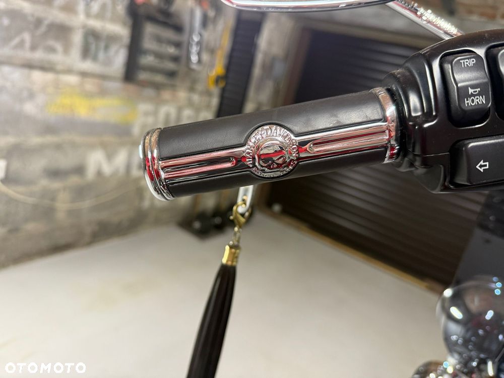 Harley-Davidson Softail - 22